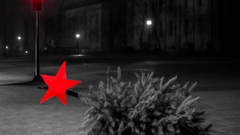 Город - Безопасность - В Энгельсе шторм повалил елку на центральной площади - Не факт!.