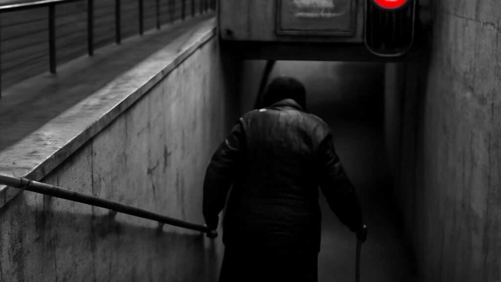 Город - Безопасность - Новые маршруты и события для москвичей 55+: лето с Московским - Не факт!.