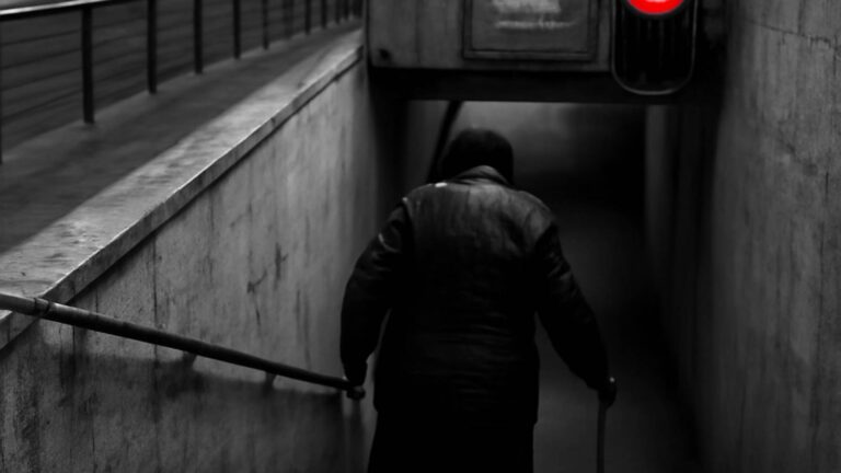 Город - Безопасность - Новые маршруты и события для москвичей 55+: лето с Московским - Не факт!.