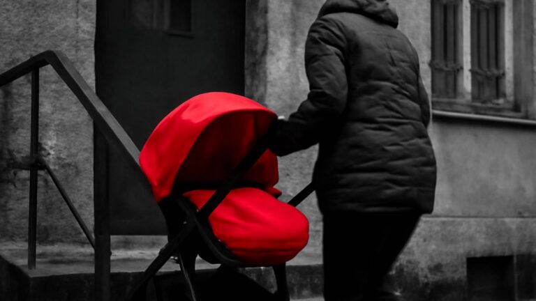 Общество - Безопасность - Многодетная мама: как растить девятерых и держаться на плаву - Не факт!.