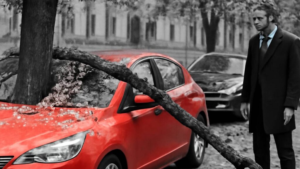 Авто - Опасности парковки под деревьями: советы эксперта - Не факт!.