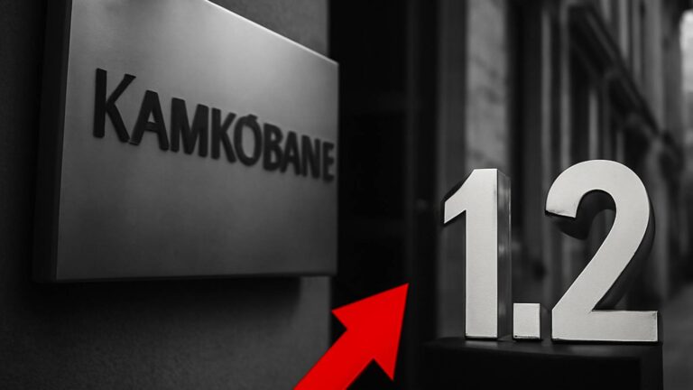 Инструкции - Камкомбанк увеличил годовую прибыль до 1,15 млрд - Не факт!.